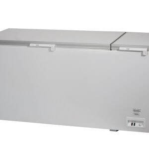 Congelador Gran Capacidad Doble Puerta 2000x780x940h mm Línea OPORTO CH900